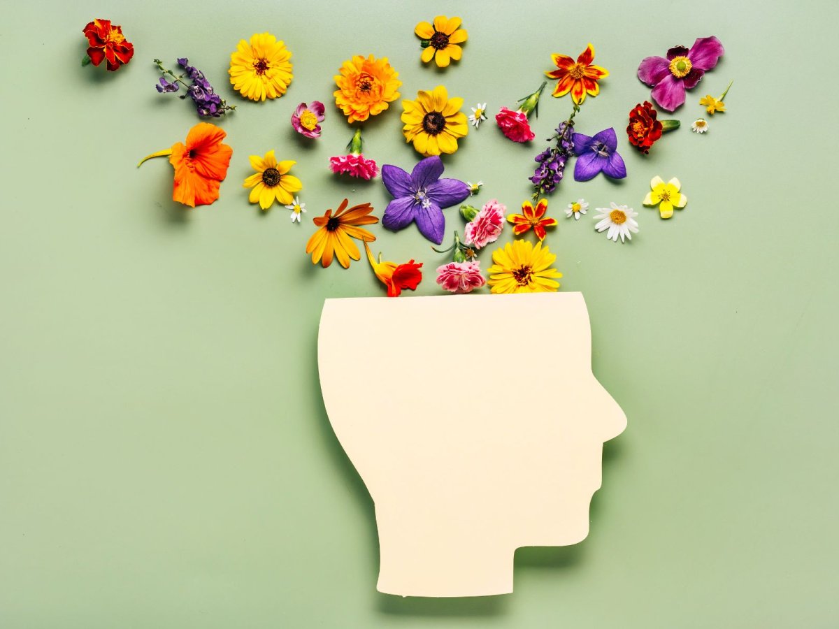 Geestelijke gezondheid bij ouderen vanuit bio-psycho-sociale invalshoek-2025-2026